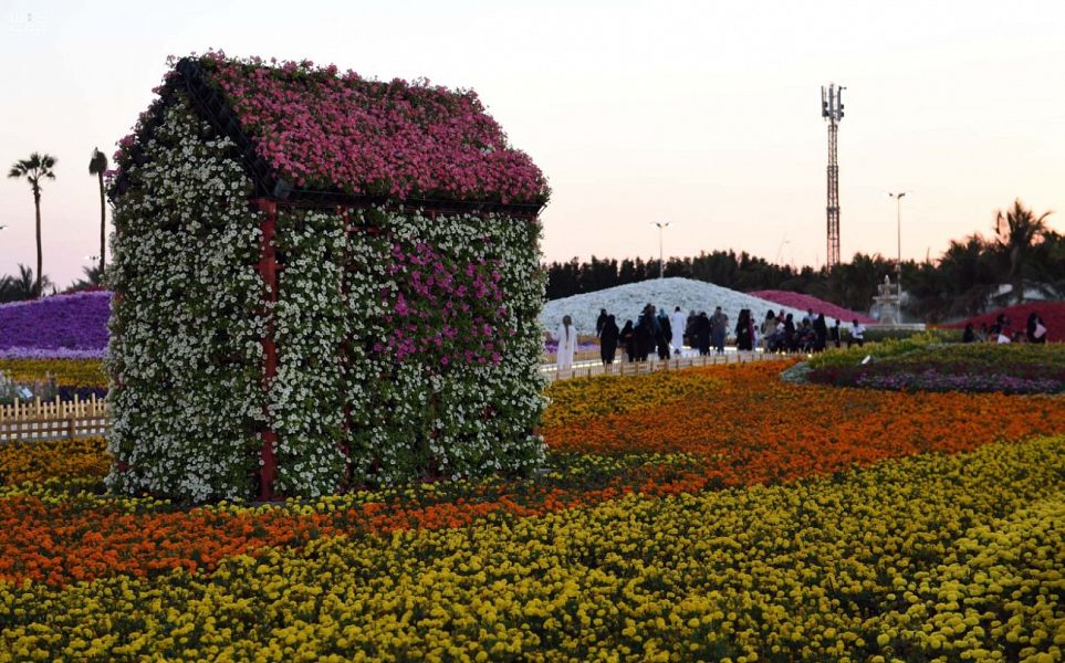 مهرجان الزهور في ينبع