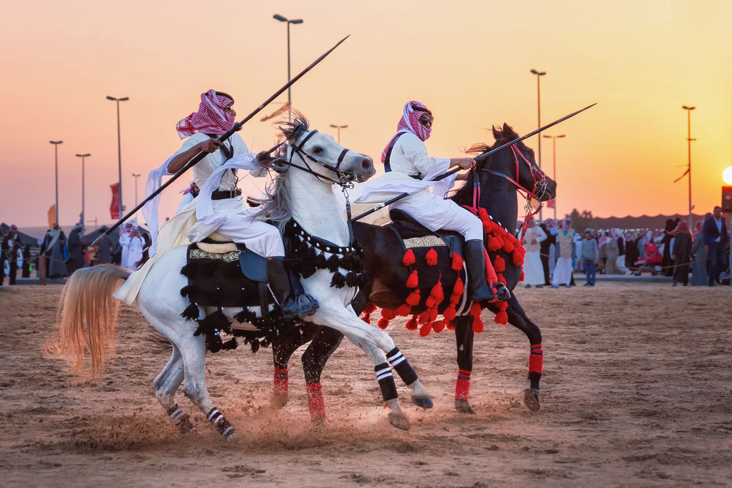 the-history-and-heritage-of-horses-in-saudi-arabia