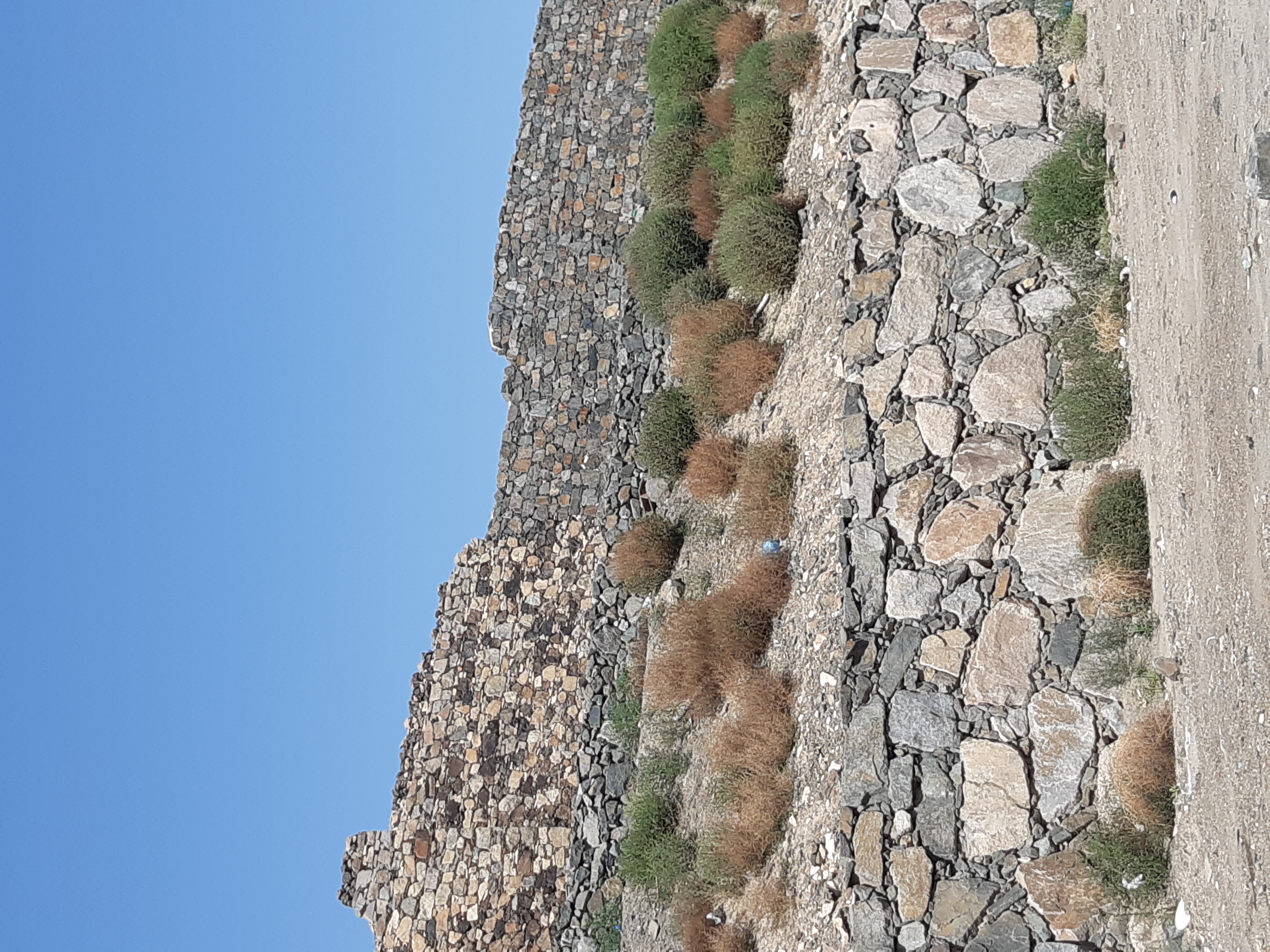 شمسان قلعة السياحة: ترميم