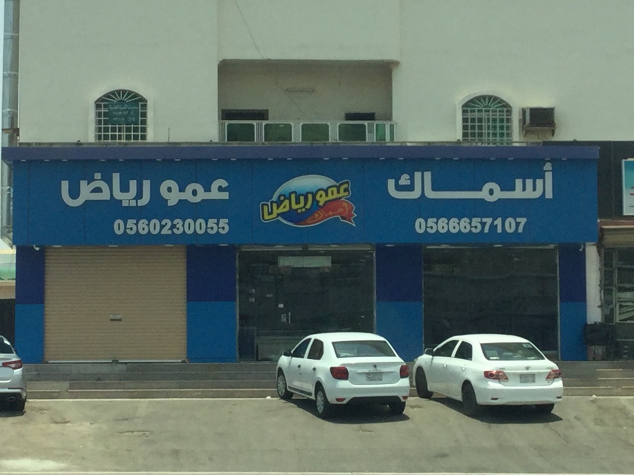 أسماك عمو رياض