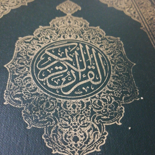محمد الشكره
