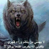 Moonzoher Moonzoher