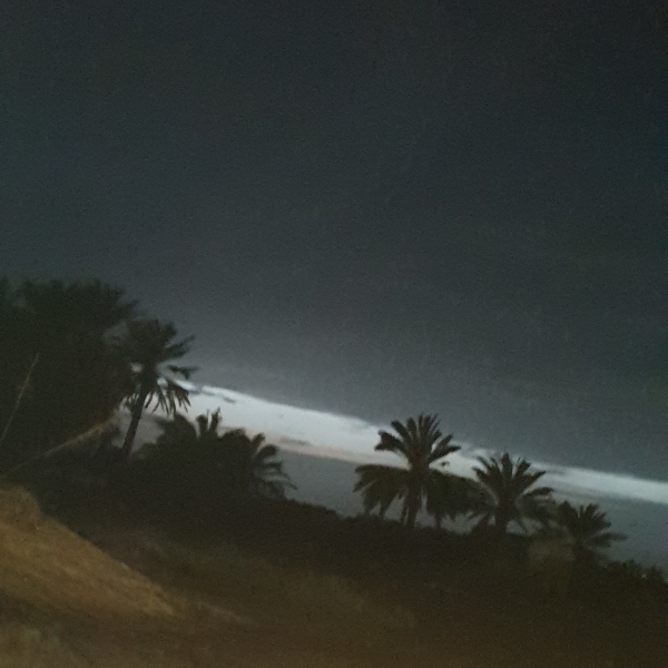 عبد العزيز الح
